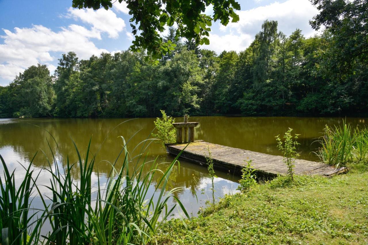 La Genetiere - Grande Maison Avec Etang En Sologne Mery-es-Bois Exterior photo